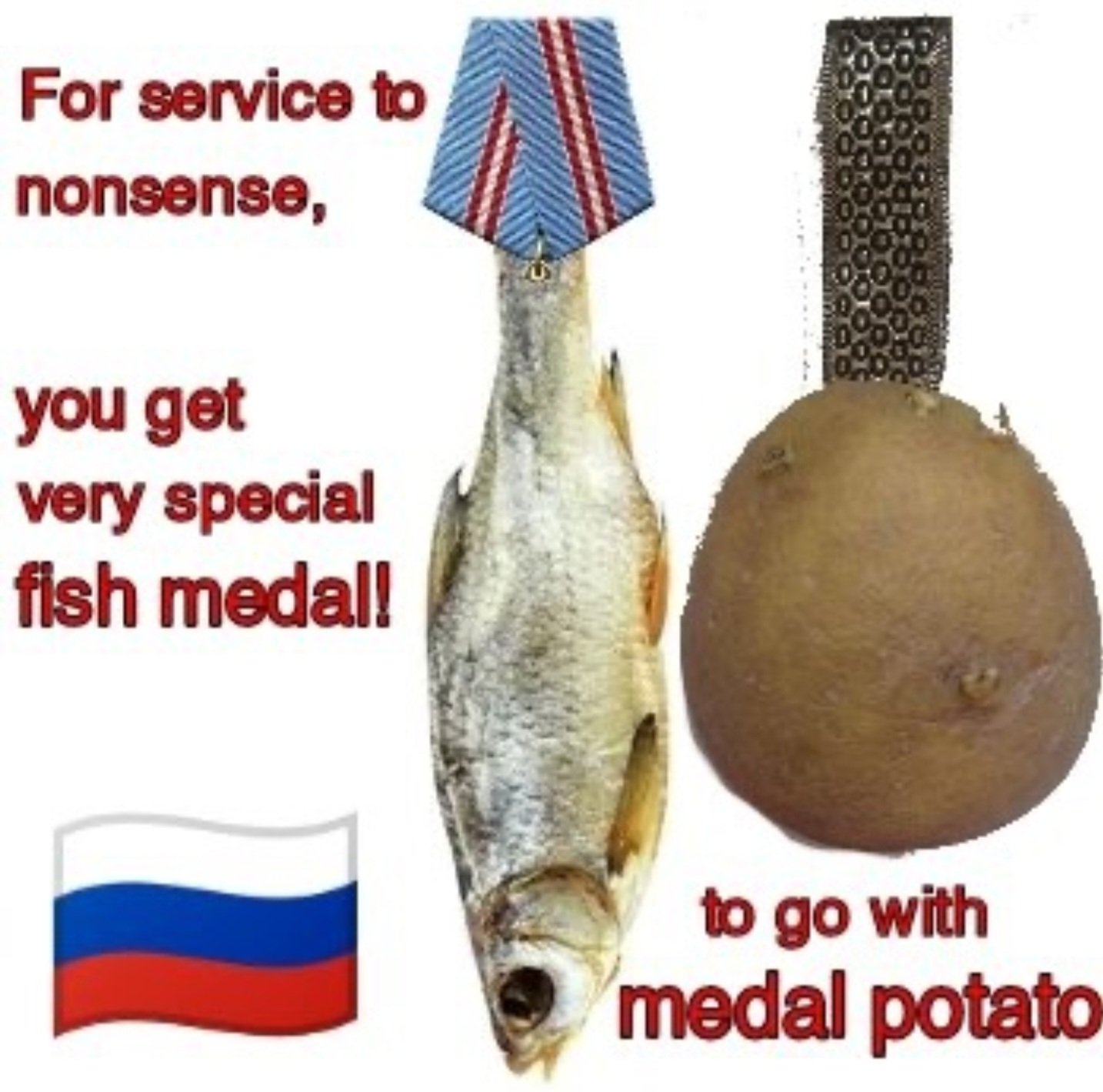 For Service to Nonsense Medal.jpeg