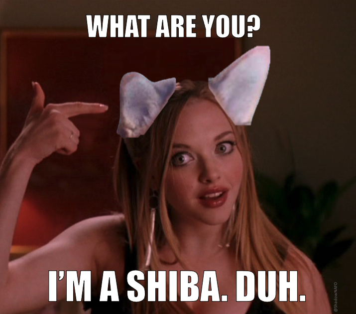 I'm a Shiba. Duh.png