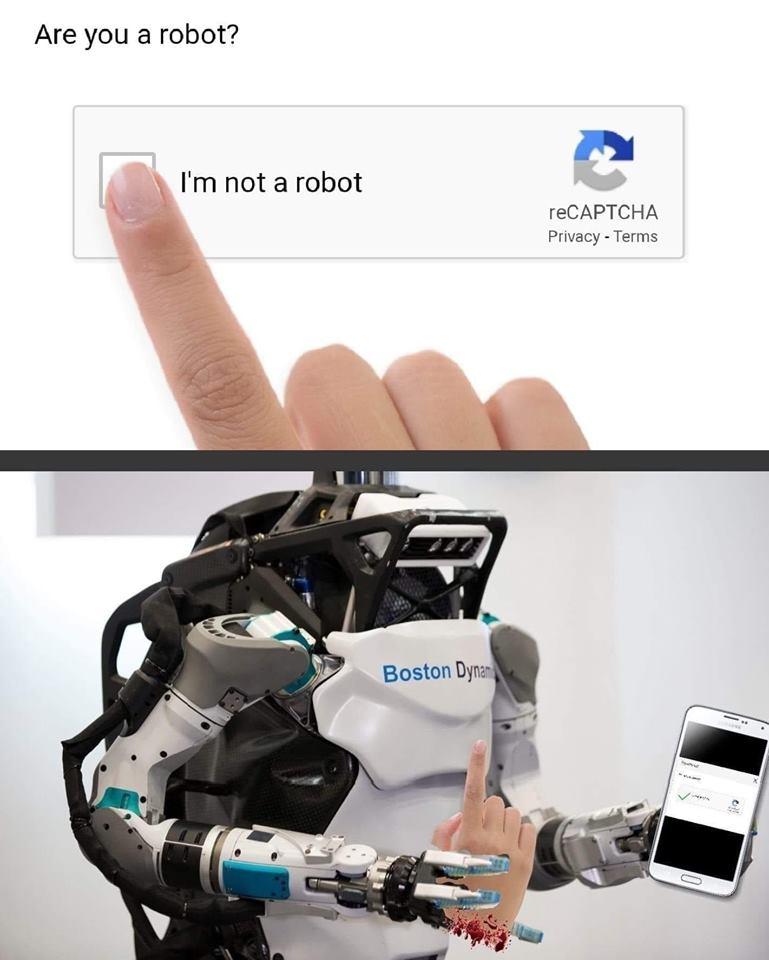 Are You a Robot reCAPTCHA.JPG