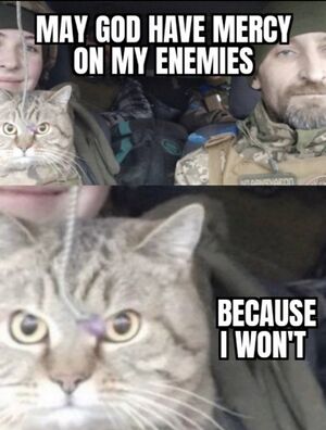 May God Have Mercy on My Enemies, Because I Won't Cat.jpeg