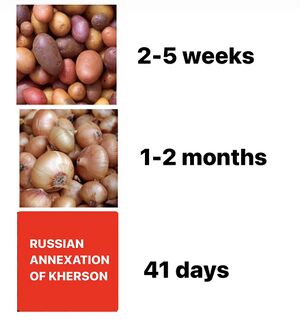 Russian Annexation of Kherson 41 Days.JPG