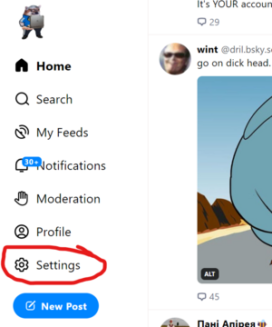 Settings Menu.png