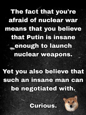 Nuclear War Negotiations Sane.JPG