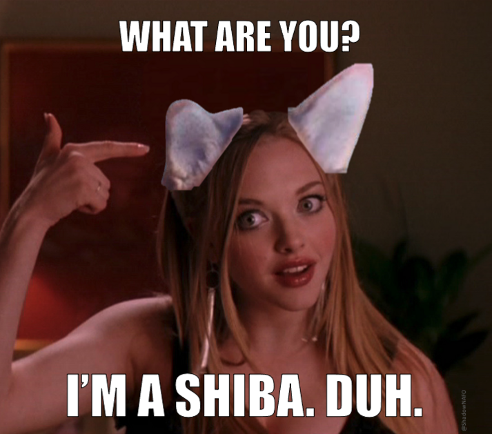 I'm a Shiba. Duh.png