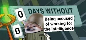 0 Days without Being Accused of Working for the Intelligence.JPG