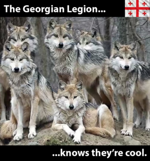 Georgian Legion.png