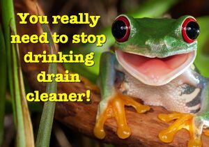 STOP DRINKING DRAIN CLEANER 1.jpg