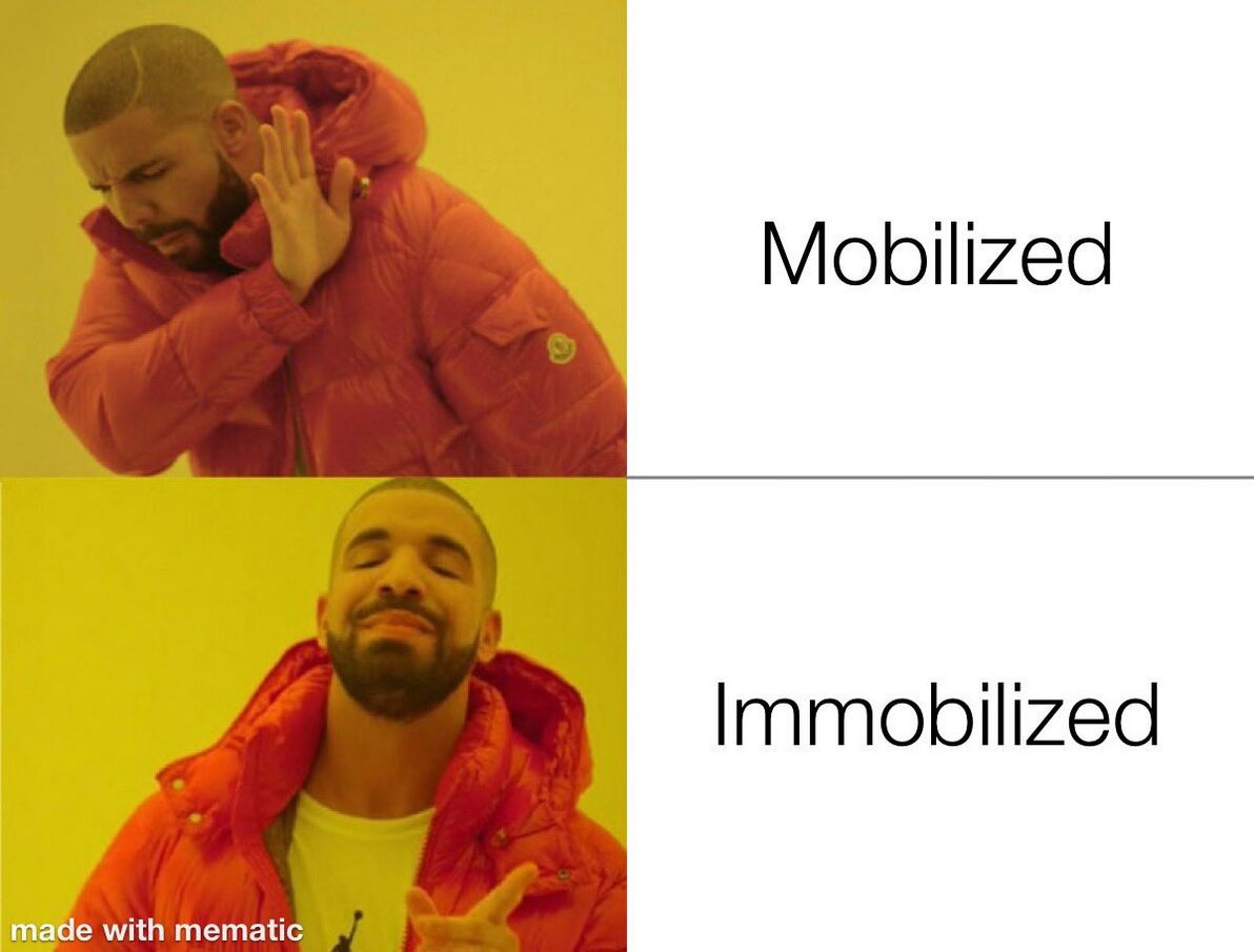Mobilized Immobilized.jpeg