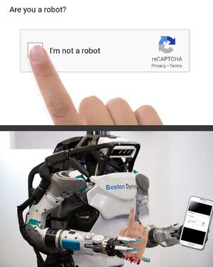 Are You a Robot reCAPTCHA.JPG