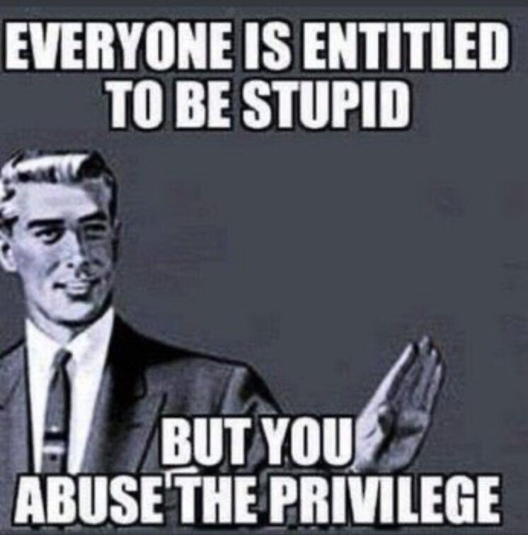 Everyone is Entitled to Be Stupid But You Abuse the Privlege.JPG