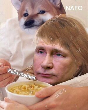 NAFO Feeds Putin Memes.jpeg