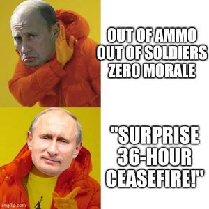 Surprise 36 Hour Ceasefire.jpeg