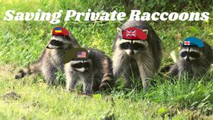 Saving Private Raccoons.jpeg