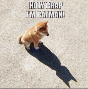 Holy Crap I'm Batman.JPG