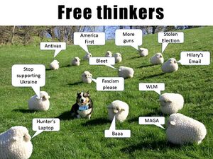 Free Thinkers, Sheep.JPG