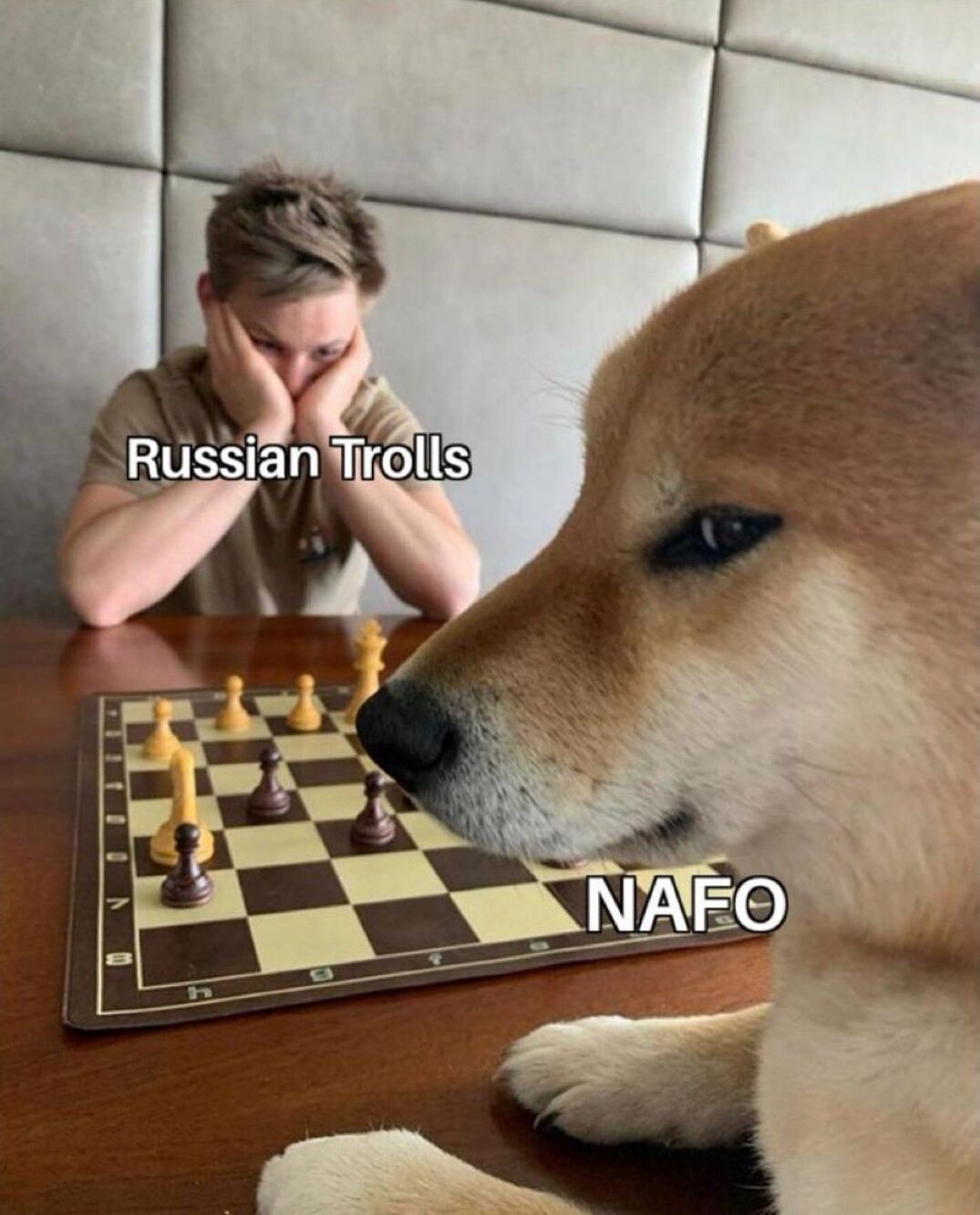 Chess NAFO vs. Russian Trolls.jpeg