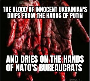 Blood on NATO 1.jpg