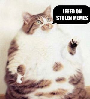 Cat Feed on Stolen Memes.jpeg