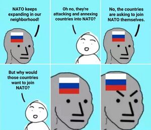 NATO Keeps Expanding, Why Would Those Countries Want to Join NATO.JPG