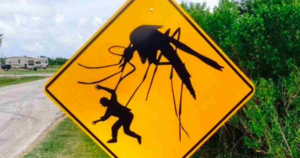 Mosquito Crossing.PNG