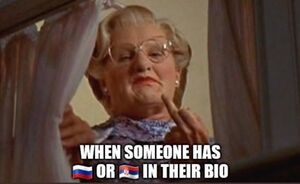 When Someone Has Russian Flag in Their Bio.jpeg
