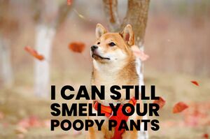 I Can Still Smell Your Poopy Pants.jpeg