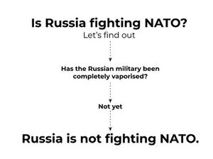 Is Russia Fighting NATO.jpeg