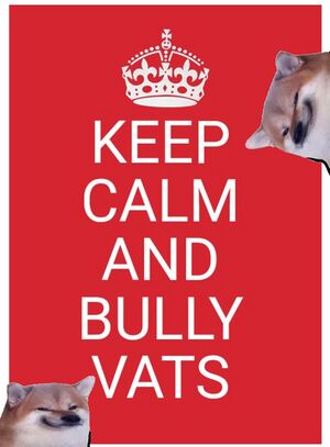 Keep Calm and Bully Vatnicks.JPG