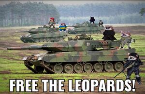 Free the Leopards V2.jpeg