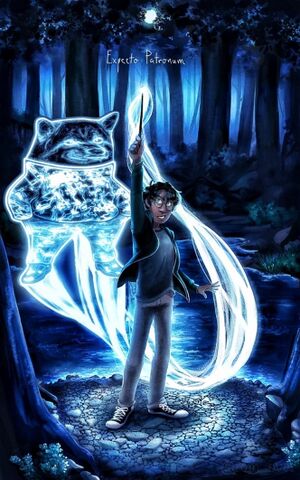 Expecto Patronum Fella.JPG