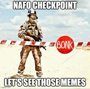 NAFO Checkpoint.jpg