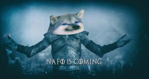 NAFO is Coming.JPG