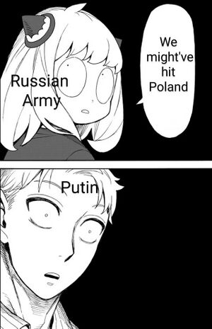 We Might Have Hit Poland SpyxFamily.jpeg