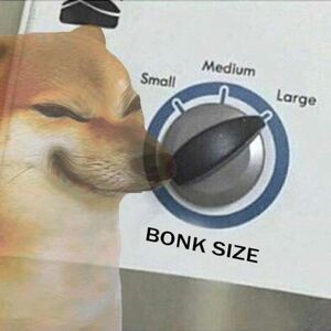 Bonk Size Dialed Up to Large.jpeg