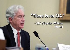 There is No CIA Quote.jpeg