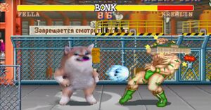 Street Fighter NAFO.JPG