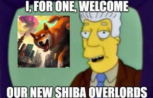 I Welcome Our New Shiba Overlords.JPG