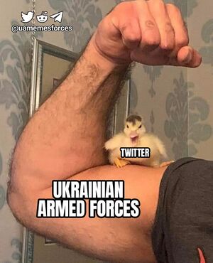 Twitter Duckling on UAF Muscles.JPG