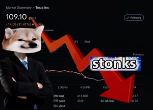 NAFO Tesla Stonks.jpeg