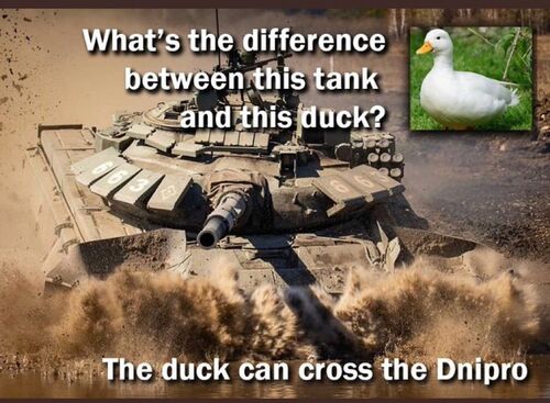 Difference Between Tank and Duck, Duck Can Cross the Dnipro.JPG