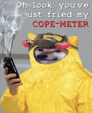 You've Just Fried My Cope-Meter.jpg