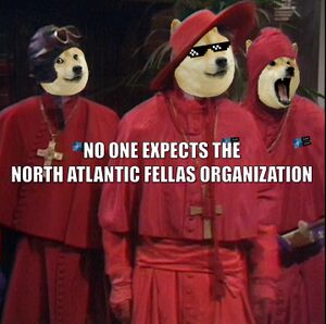 No One Expects The NAFO.jpg