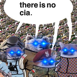 There is No CIA Fella Crowd.jpeg